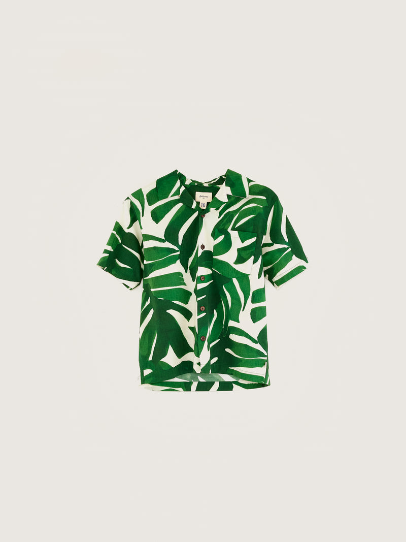 ARNO51 Leaf Print SHIRT - COMBO A. (leaf)