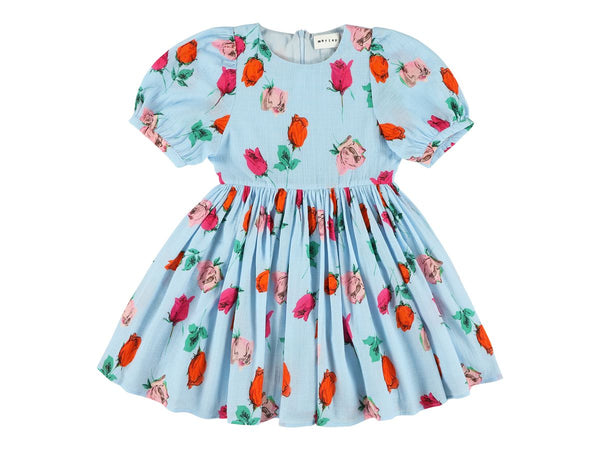 WELSA ROSES PRINTED DRESS - SKY