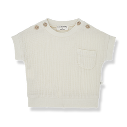 DANIELE s.sleeve t-shirt - ivory