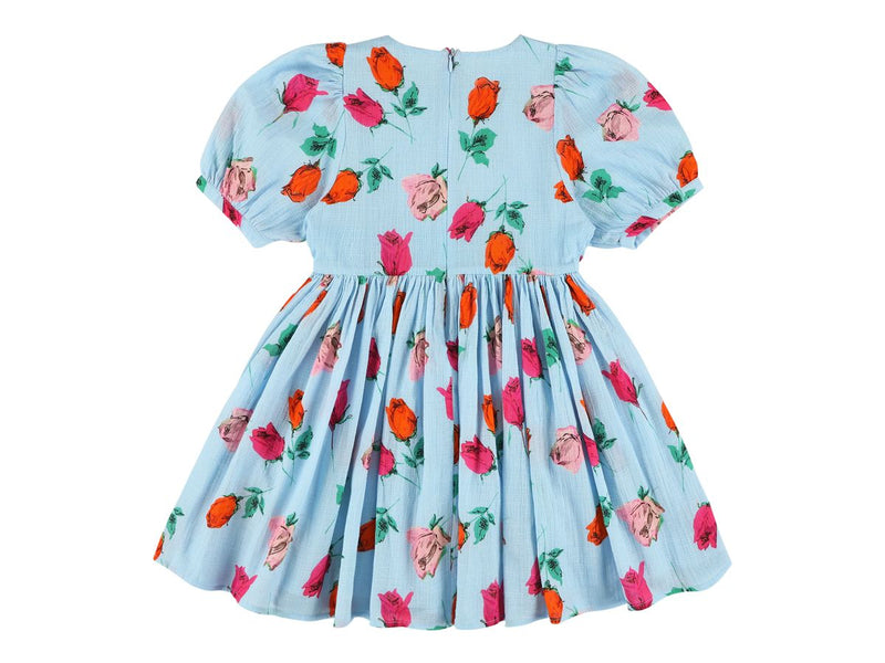 WELSA ROSES PRINTED DRESS - SKY