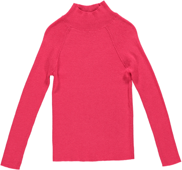 CIA JUMPER - 67 - BERRY