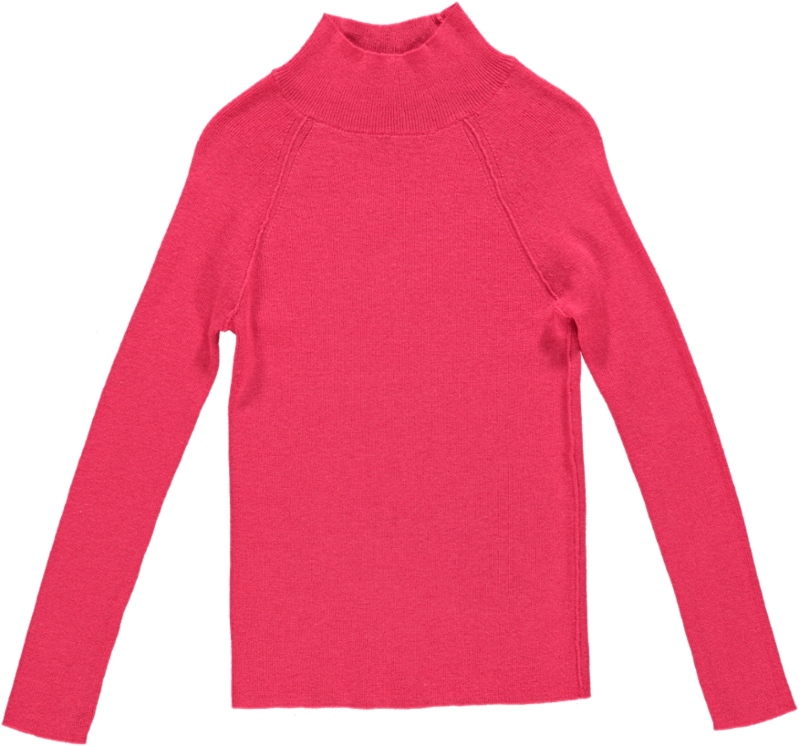 CIA JUMPER - 67 - BERRY