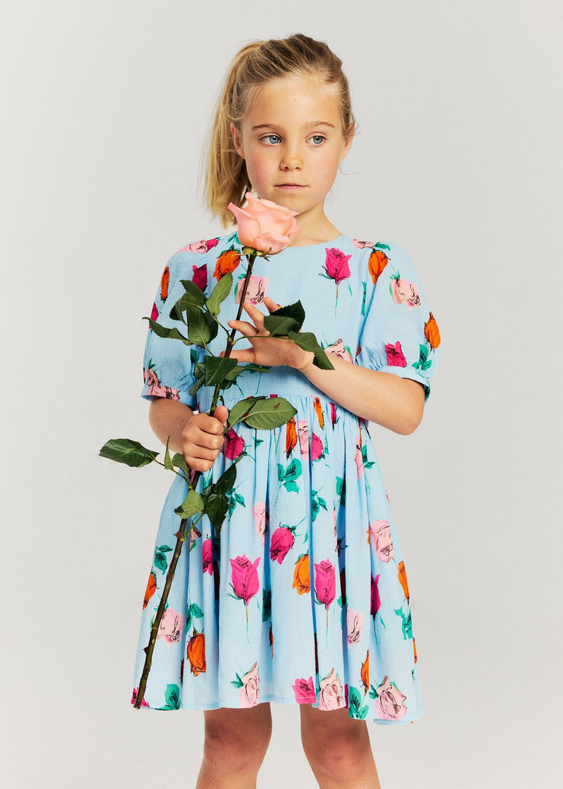 WELSA ROSES PRINTED DRESS - SKY